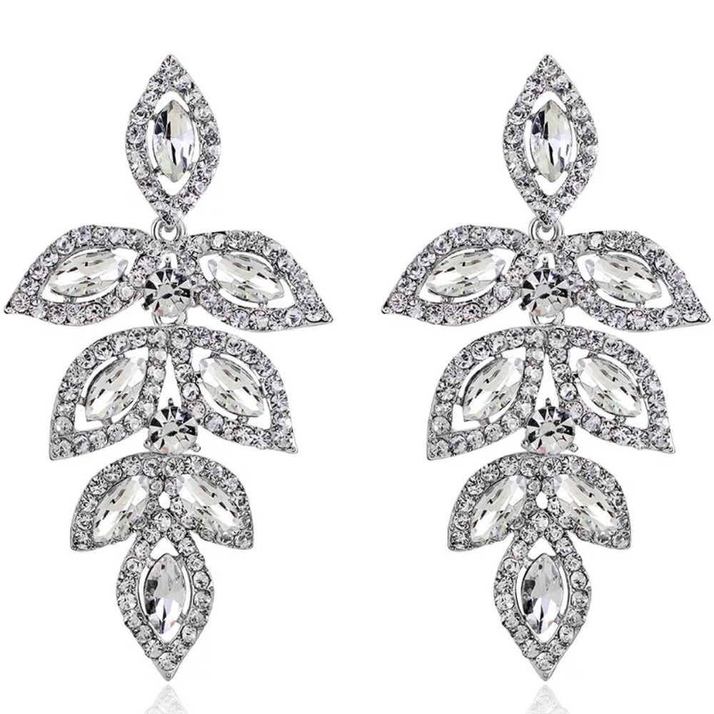 Fashion Earrings for special occasion